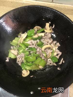 蘑菇炒肉片怎么炒好吃