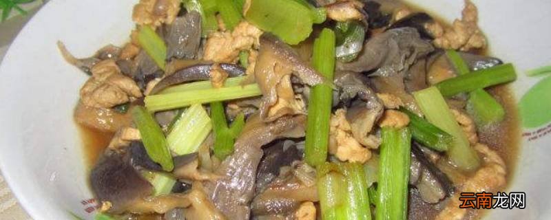 蘑菇炒肉片怎么炒好吃
