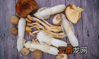 干菌子能放冰箱保鲜吗 干巴菌可以放冰箱吗