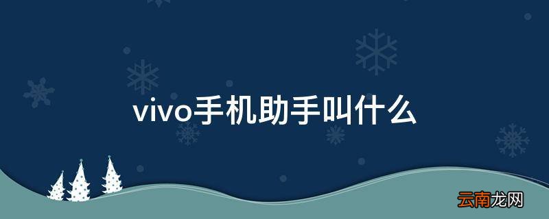 vivo手机助手叫什么