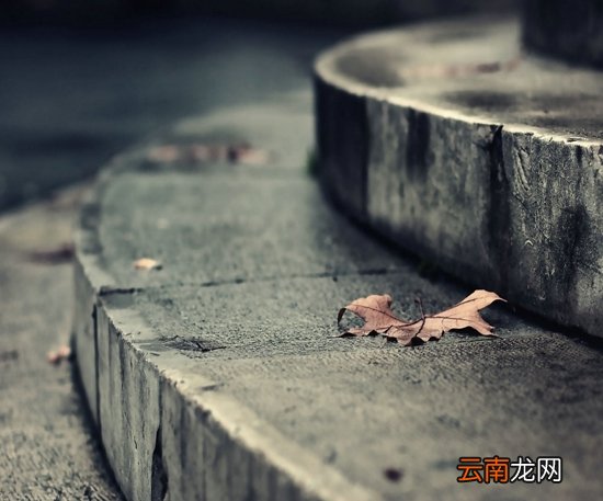 春季养生 五类水果来帮忙