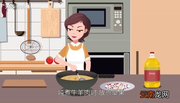 草果是什么 草果是什么东西