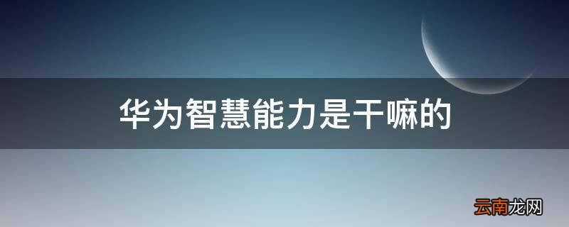 华为智慧能力是干嘛的