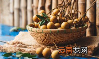 鲜桂圆能放冰箱保存吗 新鲜桂圆能放冰箱保鲜吗