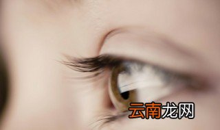 睫毛怎么读 睫毛如何拼