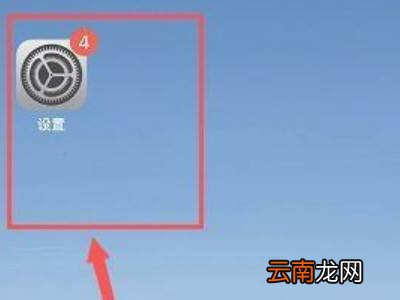 苹果13pro怎么看是不是国行