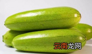 笋瓜能放冰箱保鲜吗 笋能放冷冻保存吗