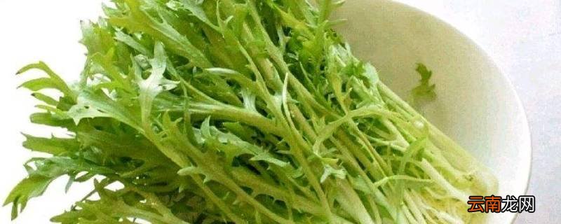 苦菊怎么炒做好吃