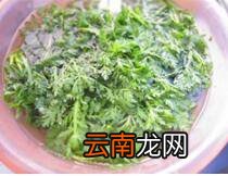 苦菊怎么炒做好吃