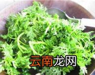 苦菊怎么炒做好吃
