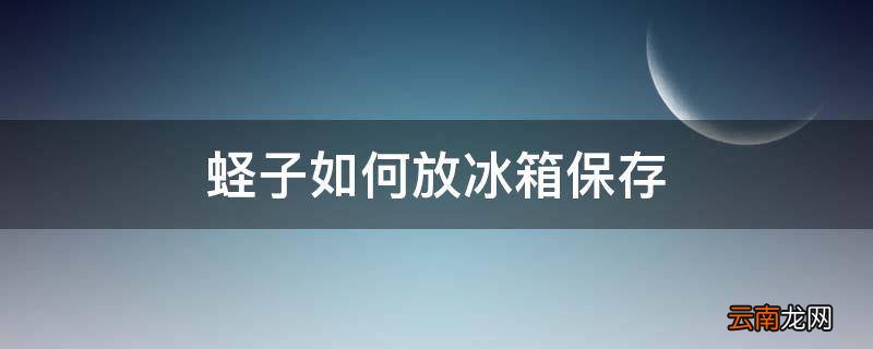 蛏子如何放冰箱保存