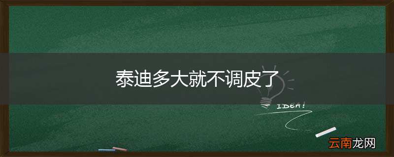 泰迪多大就不调皮了