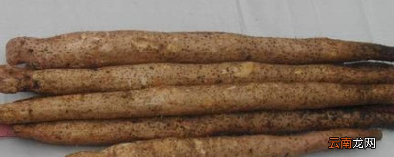 清炒淮山怎么炒才脆