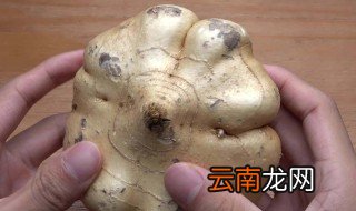 凉薯生吃好还是熟吃好 凉薯生熟吃好吗