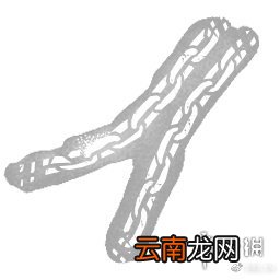 黎明杀机梦魇DLC新增内容一览 黎明杀机梦魇DLC有什么新东西 弗莱迪介绍_网