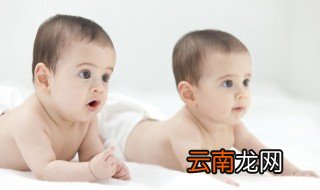 文雅又好听的名字，听起来很文雅的名字