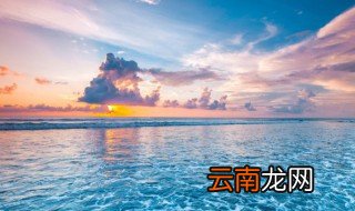 大海有什么植物或动物，大海里都有什么生物和植物