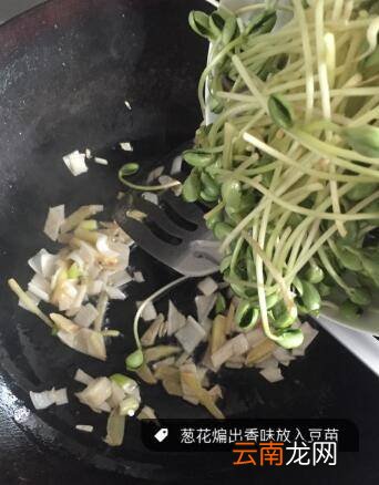 清炒豆苗怎么炒好吃