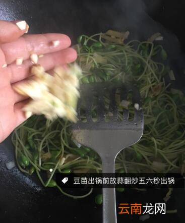 清炒豆苗怎么炒好吃