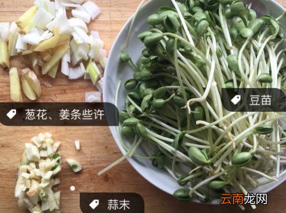 清炒豆苗怎么炒好吃
