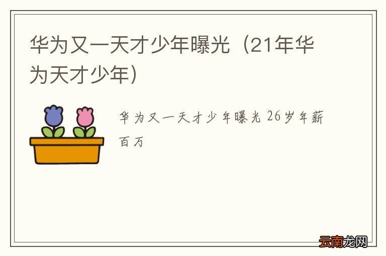 21年华为天才少年 华为又一天才少年曝光