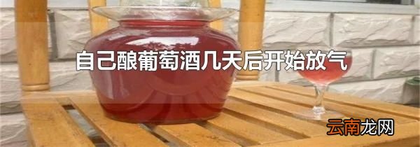 自己酿葡萄酒几天后开始放气