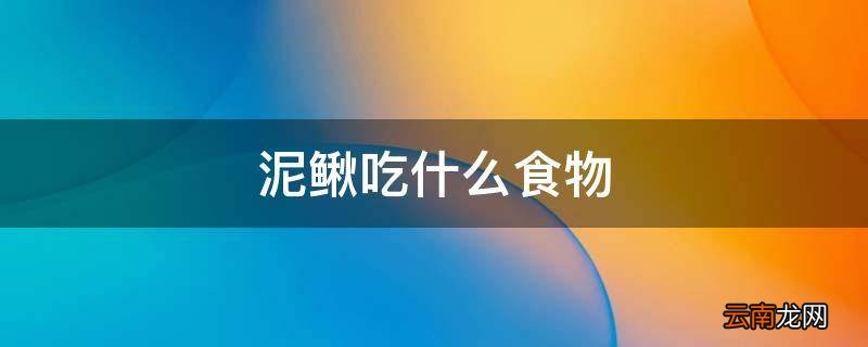 泥鳅吃什么食物