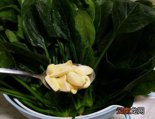 清炒菠菜怎么炒