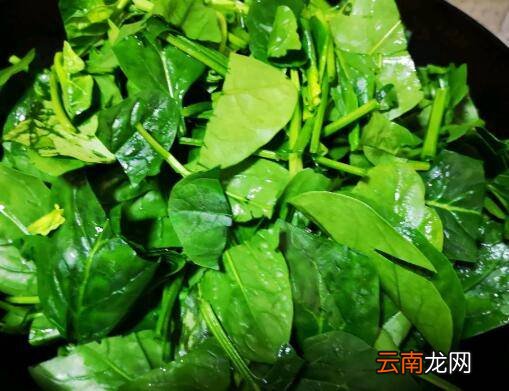 清炒菠菜怎么炒