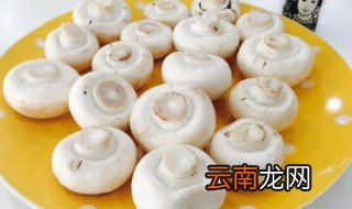 口蘑菇是什么蘑菇 口蘑是什么类的蘑菇