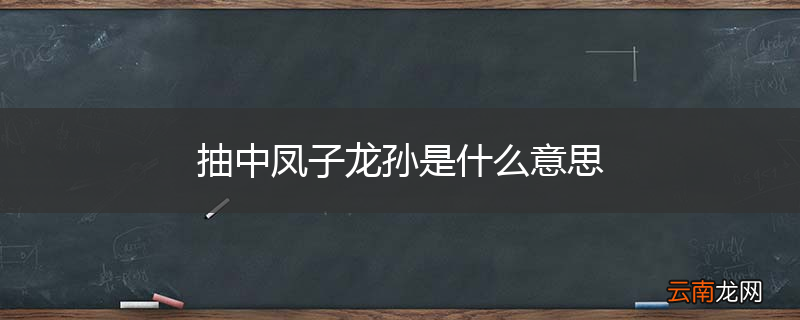 抽中凤子龙孙是什么意思