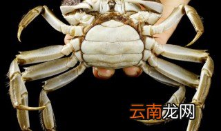 螃蟹在几月份最肥 每年几月份吃螃蟹最肥