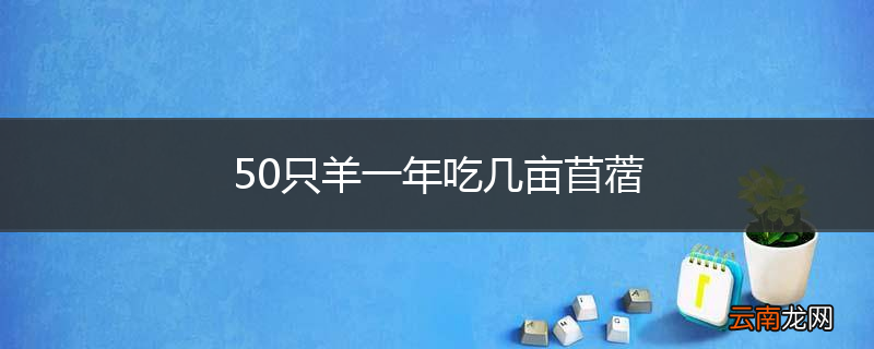 50只羊一年吃几亩苜蓿