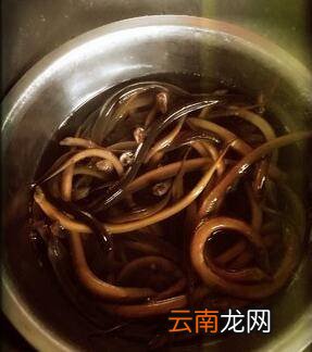 盘鳝怎么炒