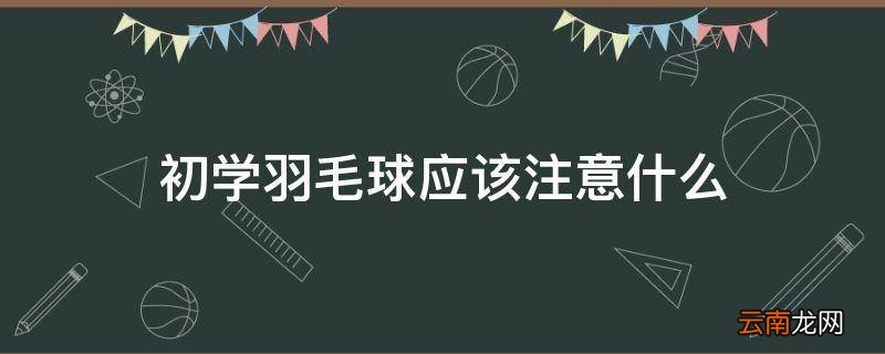 初学羽毛球应该注意什么