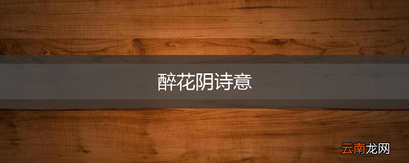 醉花阴诗意