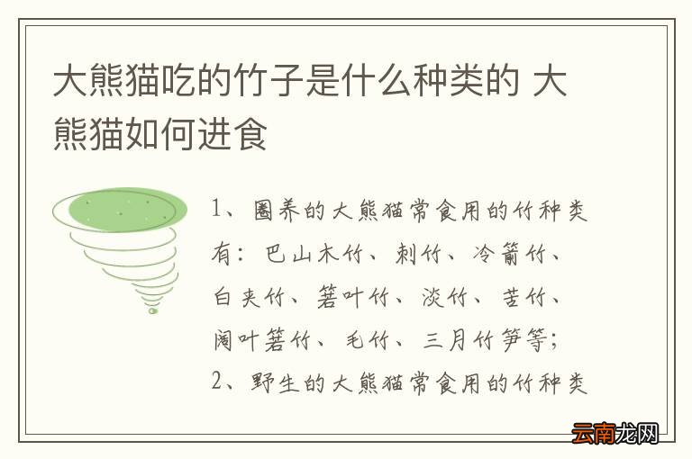 大熊猫吃的竹子是什么种类的 大熊猫如何进食