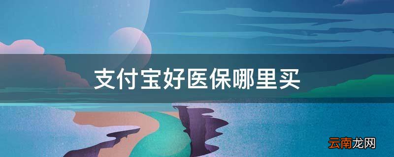 支付宝好医保哪里买