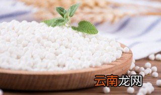什么样的西米才正宗 怎样的西米才正宗