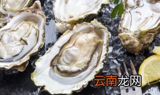 生蚝冷冻还是冷藏 生蚝如何存放
