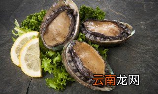 活鲍鱼放在冰箱可以保存多久 鲍鱼放冰箱保鲜能存活吗