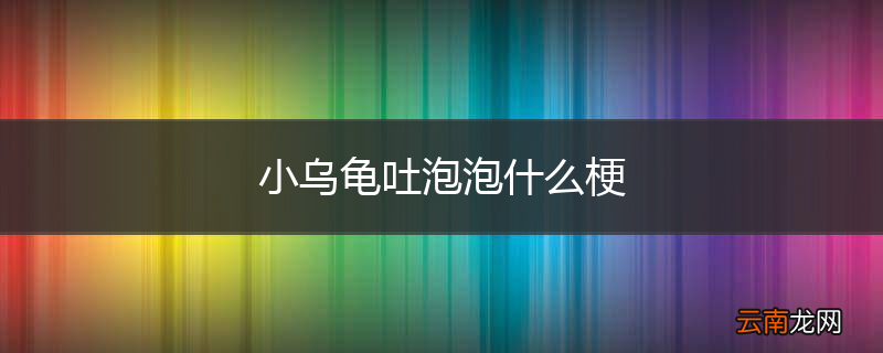 小乌龟吐泡泡什么梗