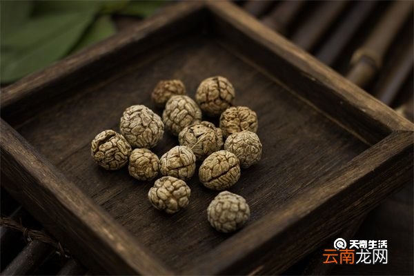 草蔻的功效与作用 草蔻的功效与作用有哪些