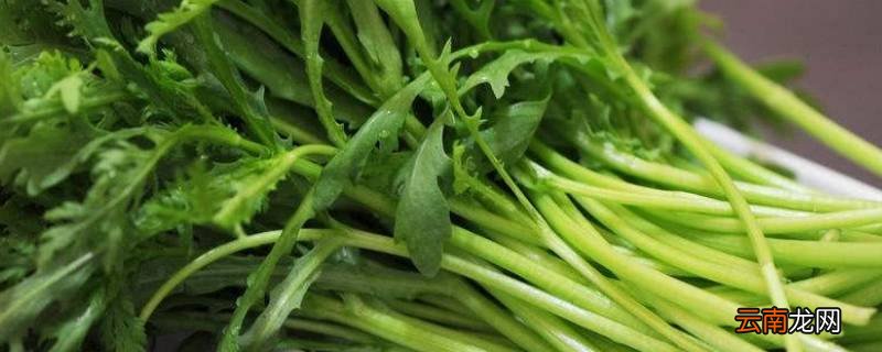 蒿子杆怎么炒