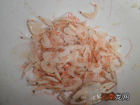 蒿子杆怎么炒