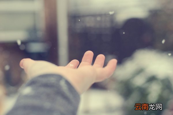 2 春季吃这6种菜 营养更养生