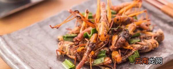 蝗虫怎么吃 蝗虫都有哪些吃法