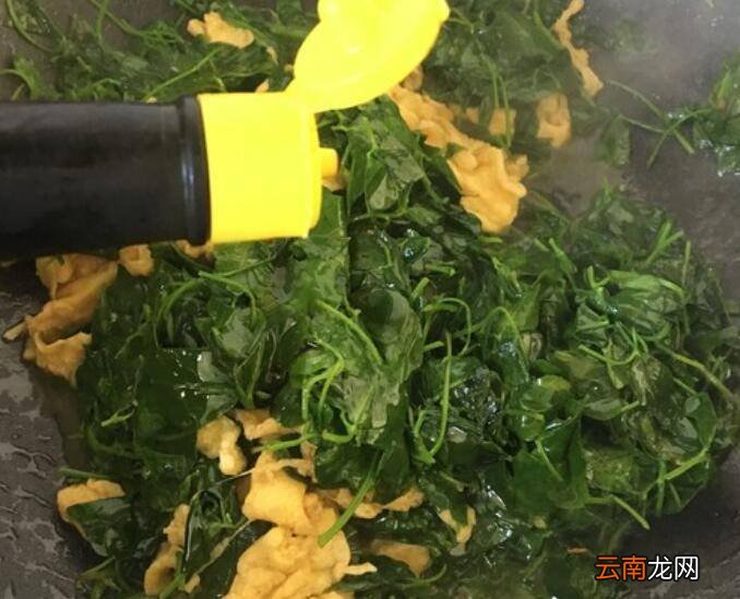 金花菜怎么炒