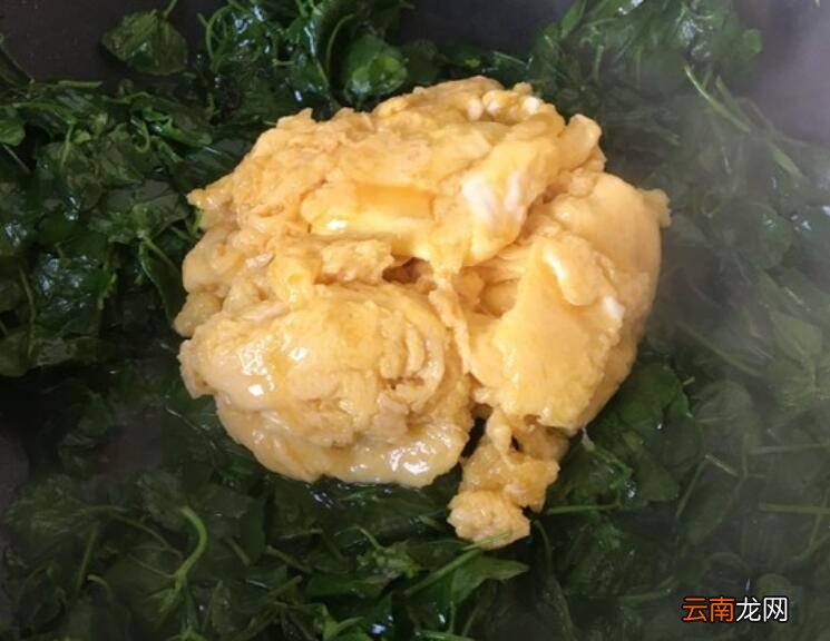 金花菜怎么炒