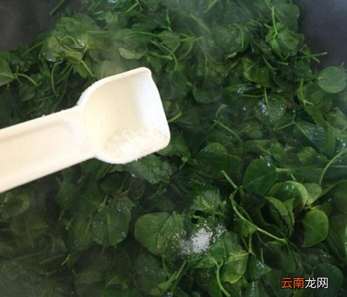 金花菜怎么炒